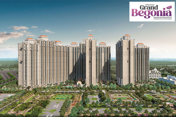 Prateek Grand Begonia