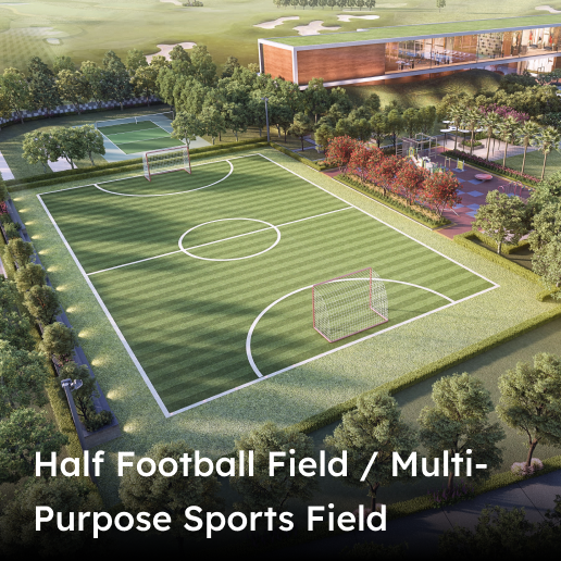 Half football field