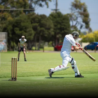 Cricket practice pitch